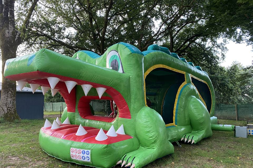 Crocodile