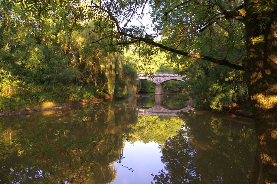 Au bout de l'île