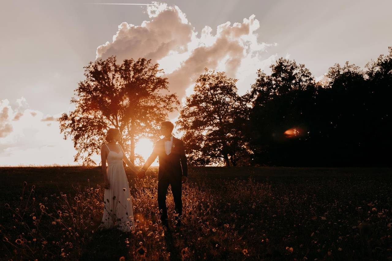 Ce Photographe Crée Une Photo Haute Résolution du Soleil de Son Jardin