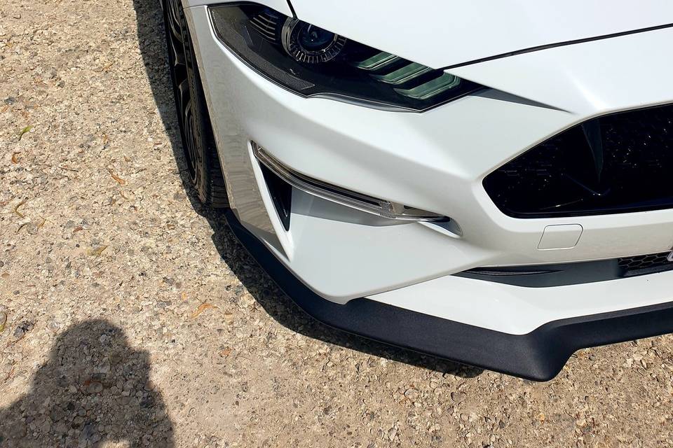 Mustang location