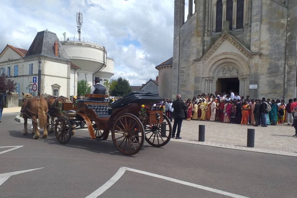 Mariage Sri lankais 2025