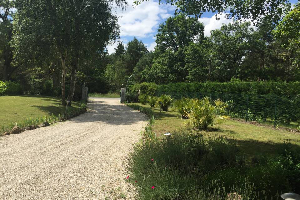 Plantes du jardin