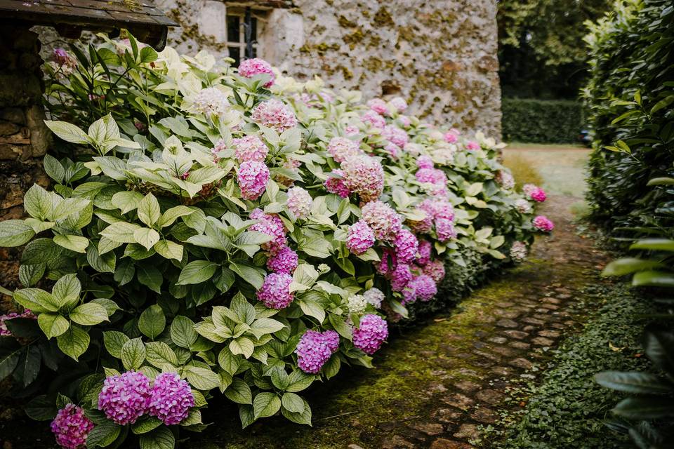 Les petits recoins du jardin