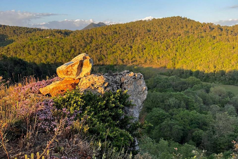 Vue du domaine