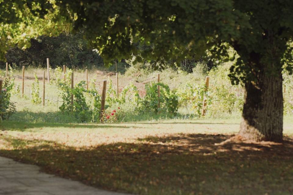 Un cadre provençal