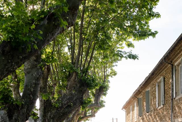 La cour du domaine
