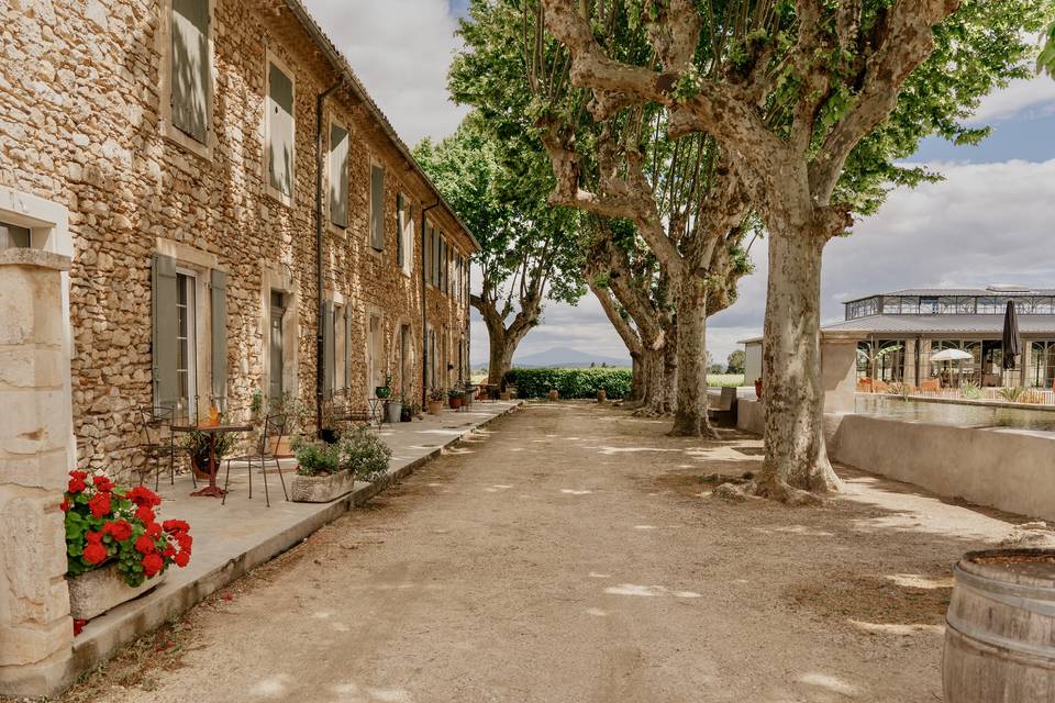 Vue sur la cour