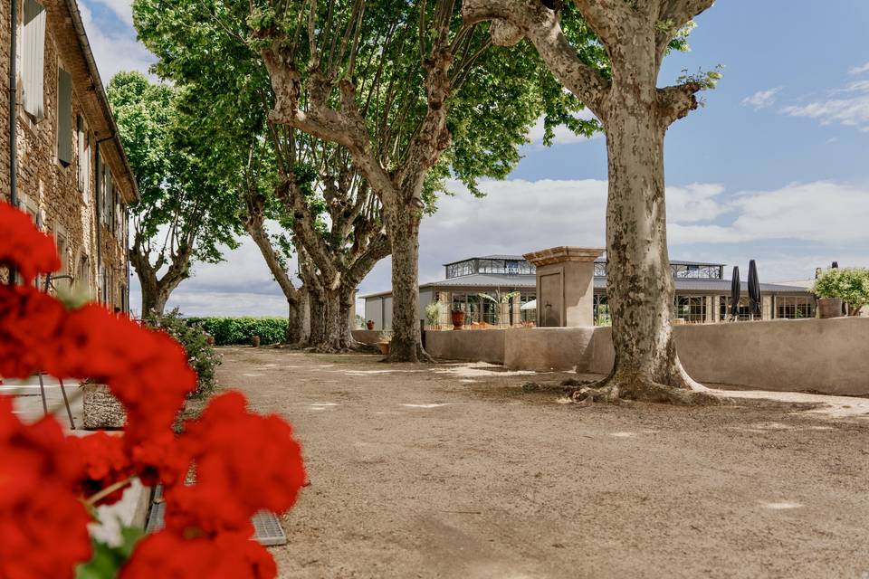 Vue sur la cour