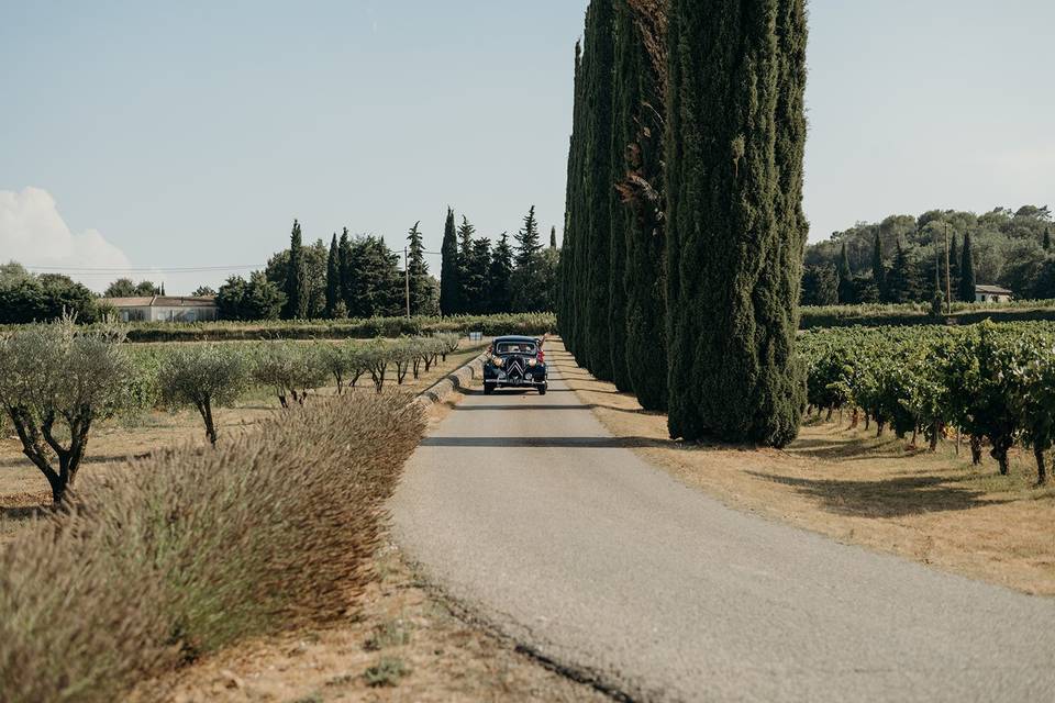 Domaine
