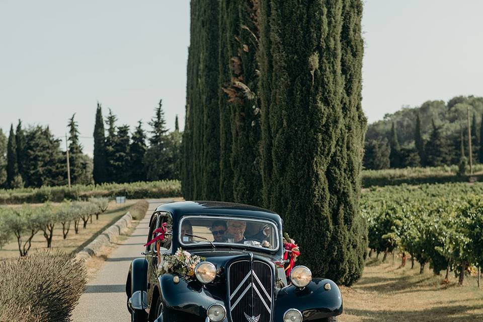 Domaine