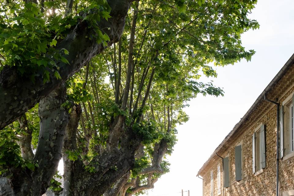 La cour du domaine