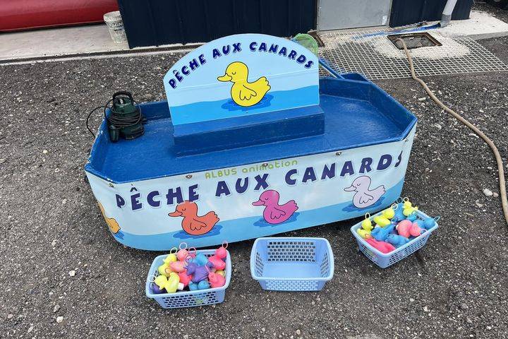 Notre pêche aux canards