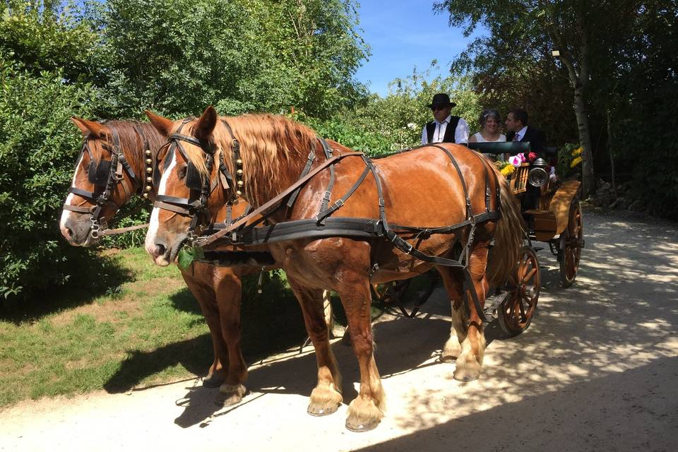 Domaine de La Fortranche