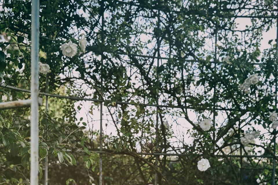 Une atmosphère poétique