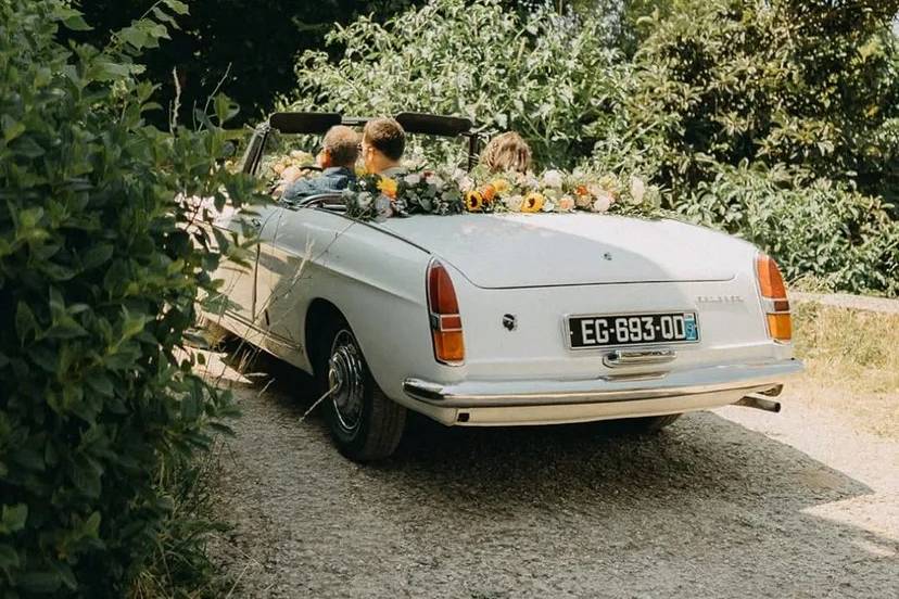 Décoration de Voiture