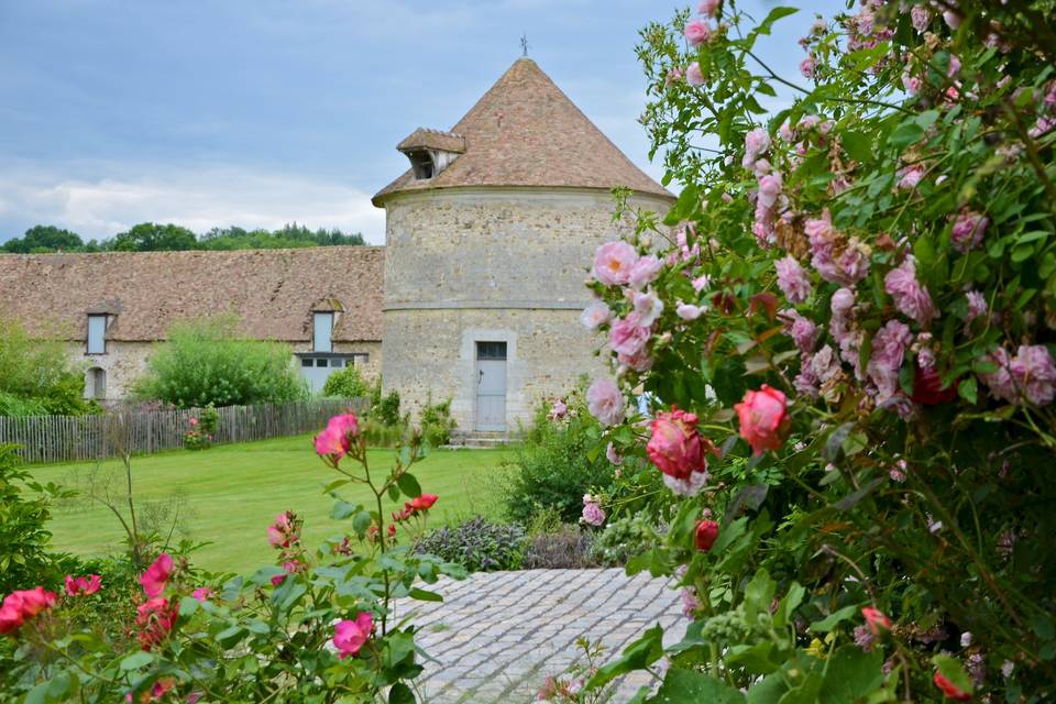 Les rosiers et la tour