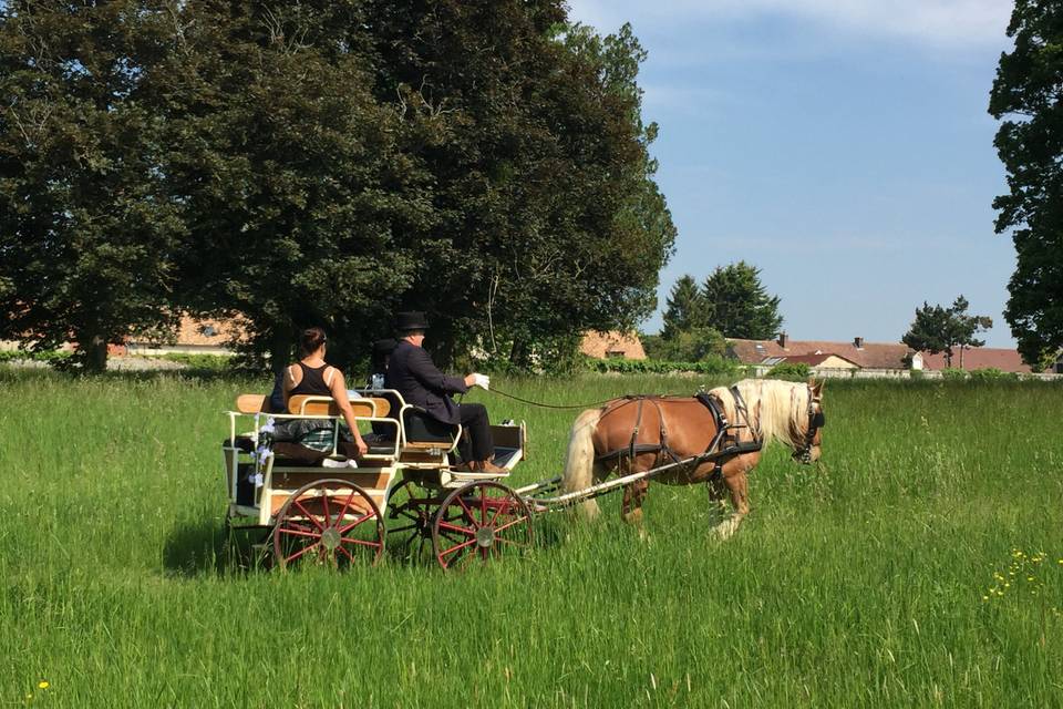 Retour de l'église par le parc