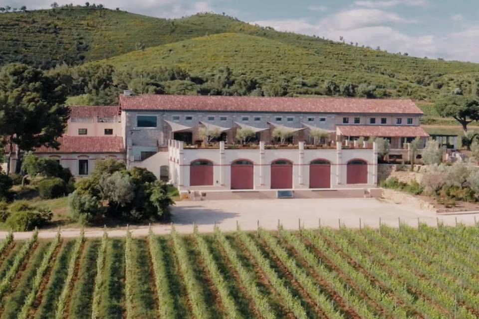 Chateau Galoupet