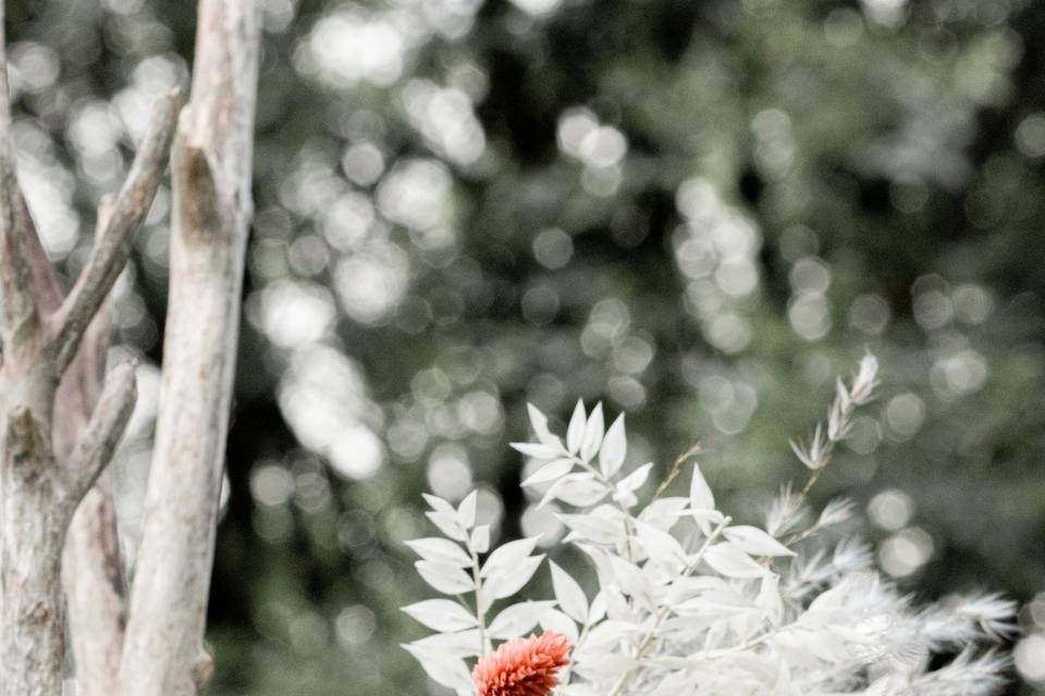 Décoration