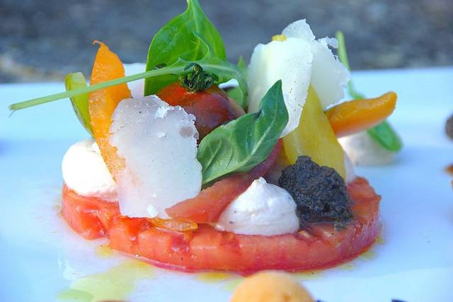 Fraîcheur de tomates