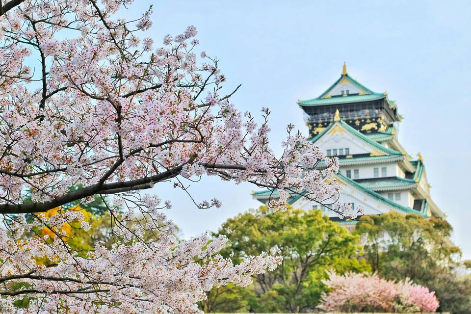 Japon