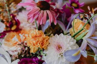 Solstice - Maison Florale