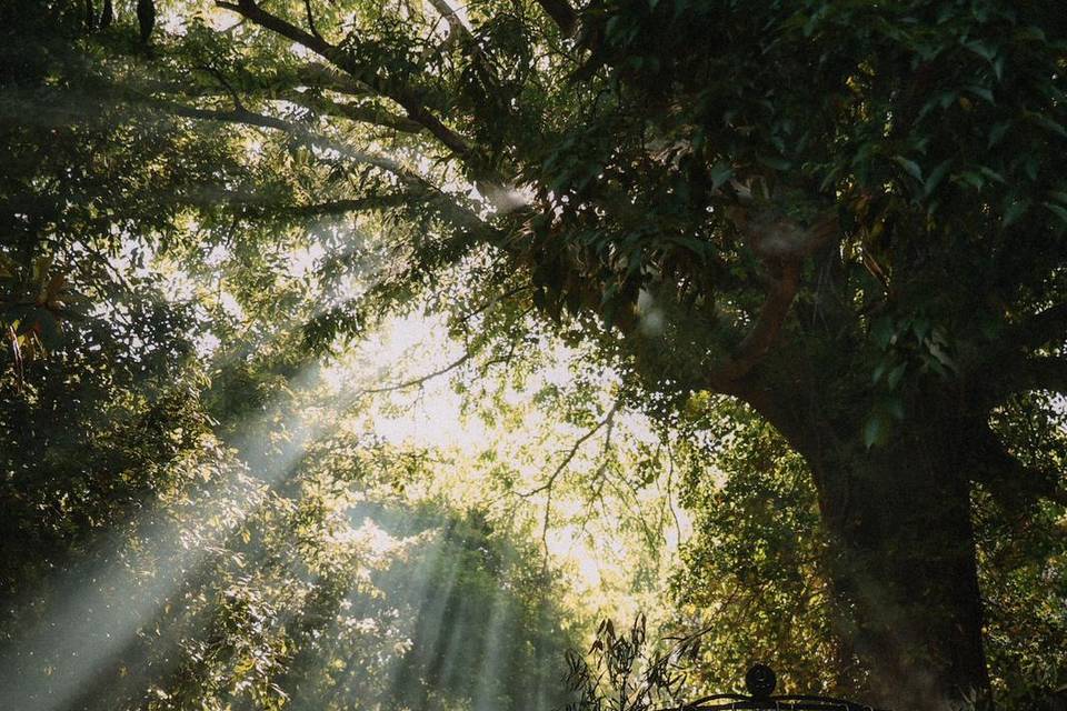 Entre ombre et lumière