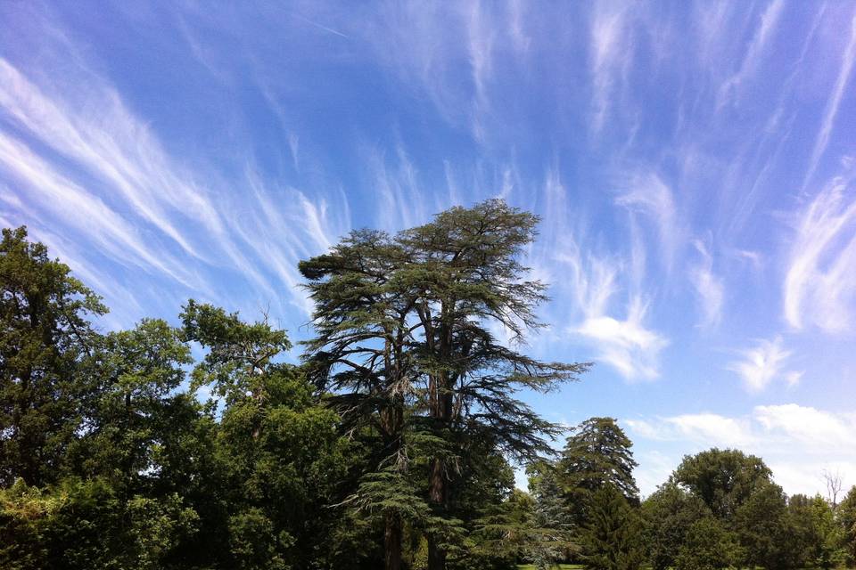 Parc arboré 5 ha ensoleillé