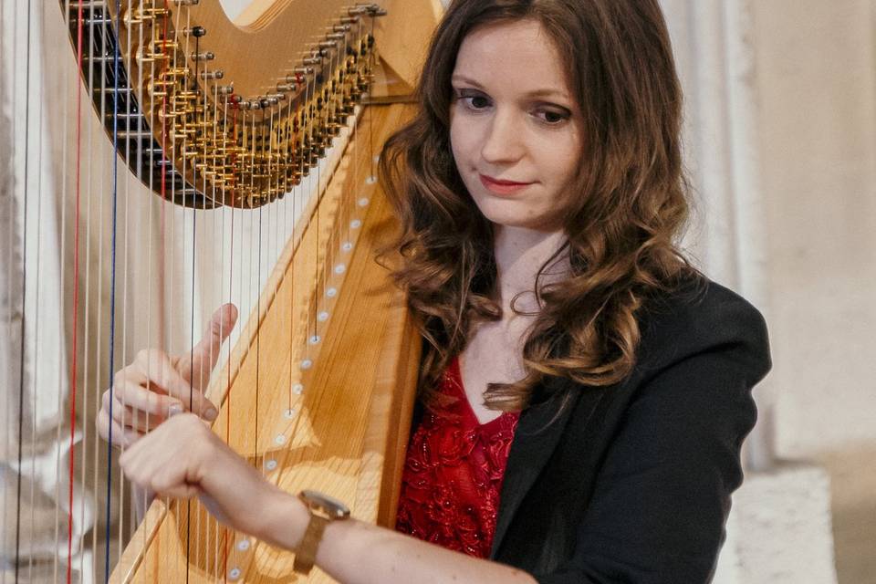 Harpe cognac