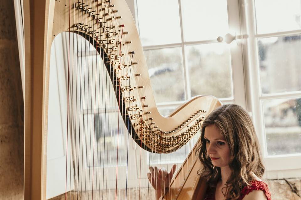 Harpe cognac