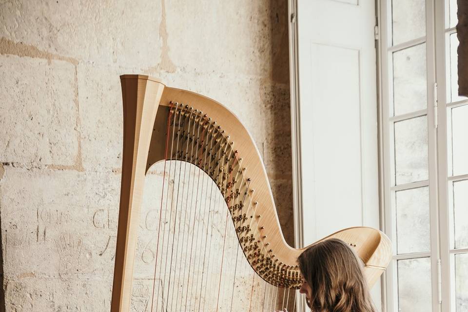 Harpe cognac