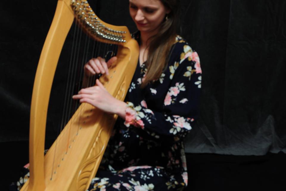 Harpe celtique