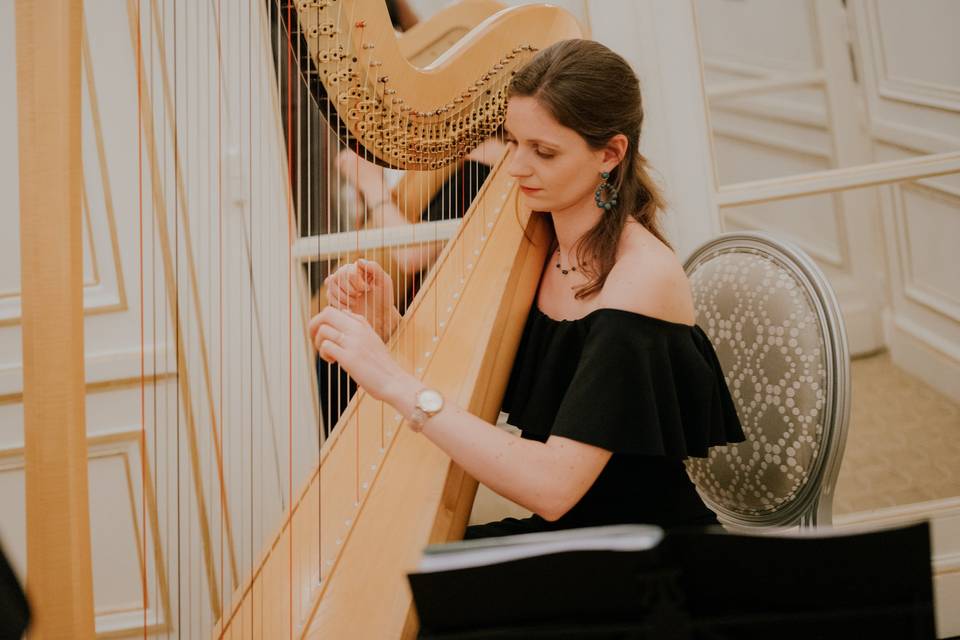 Anne Harpe