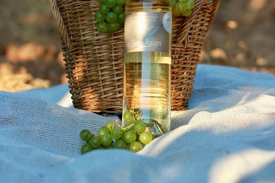 Les Vignerons du Mont Sainte Victoire