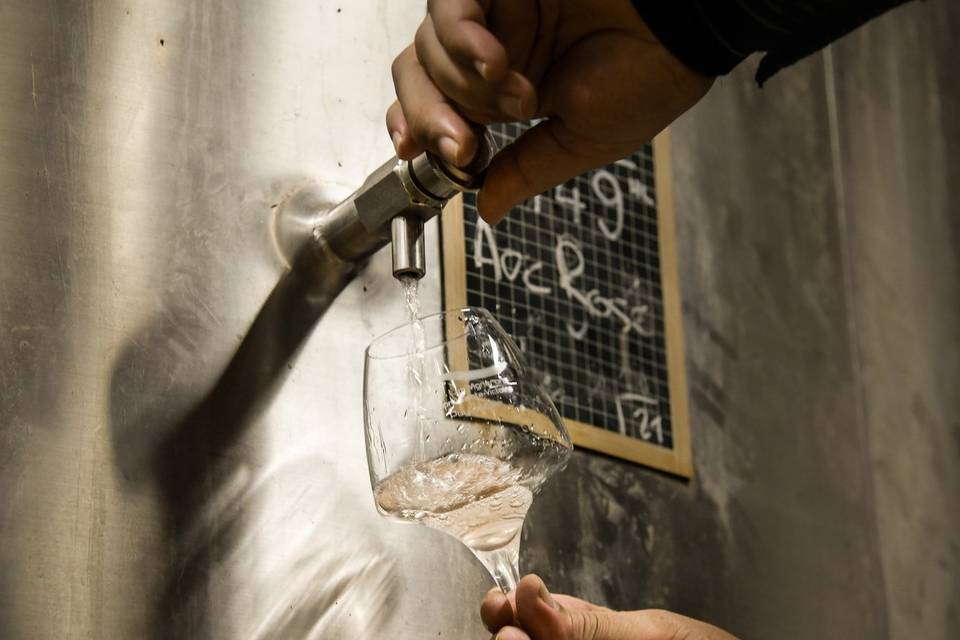 Cave et dégustation