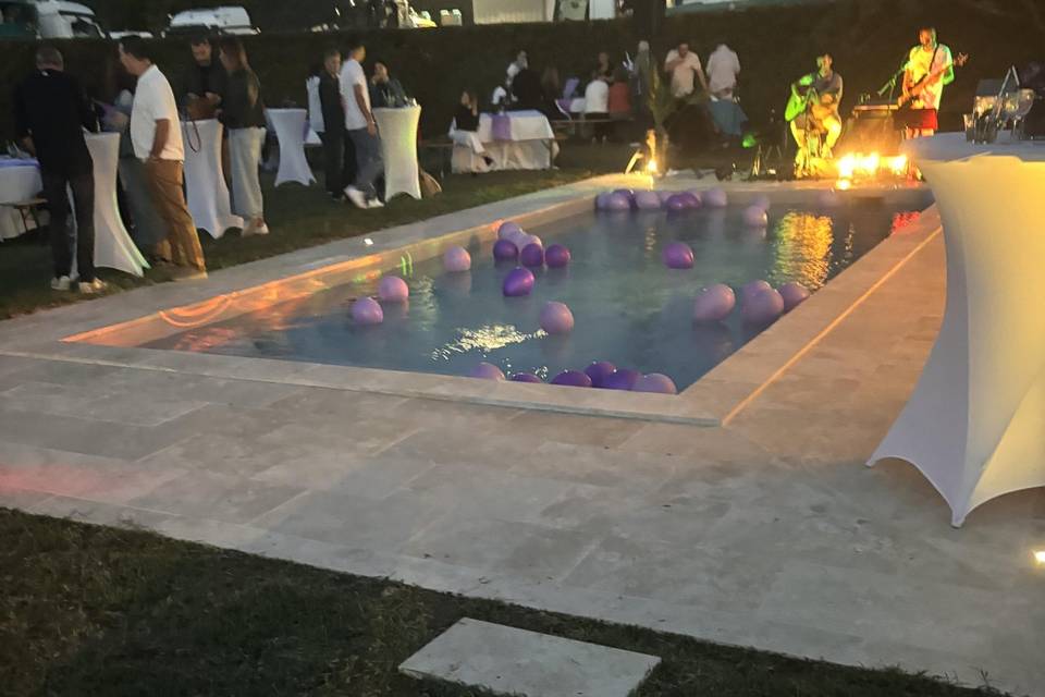 Live piscine