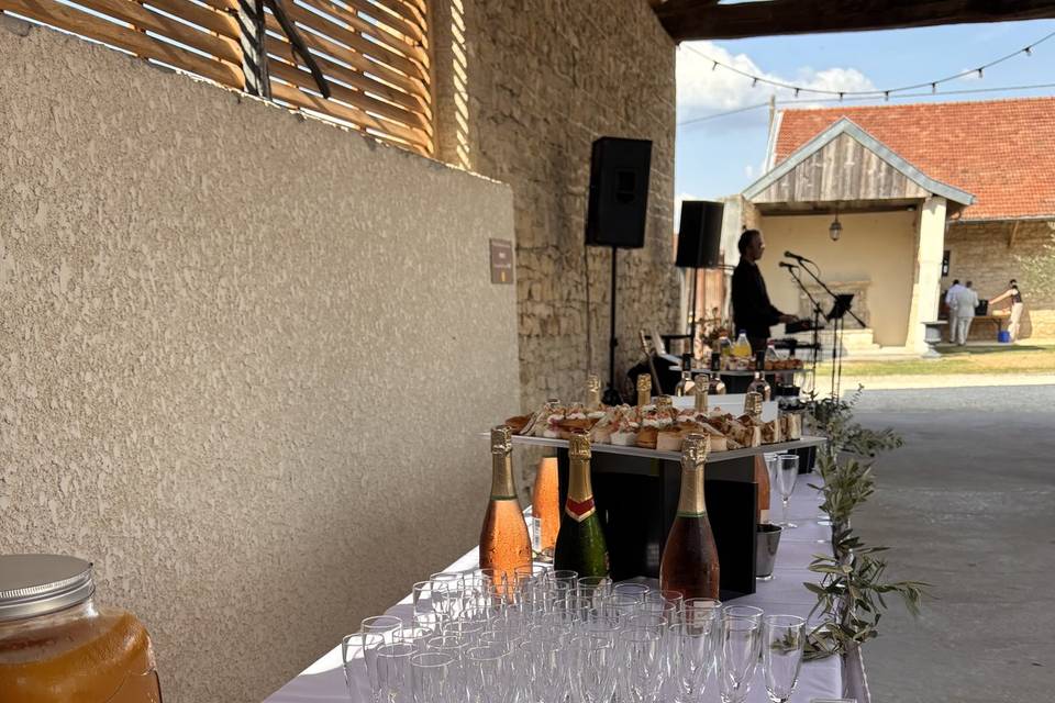 Vin d'honneur + Musiciens