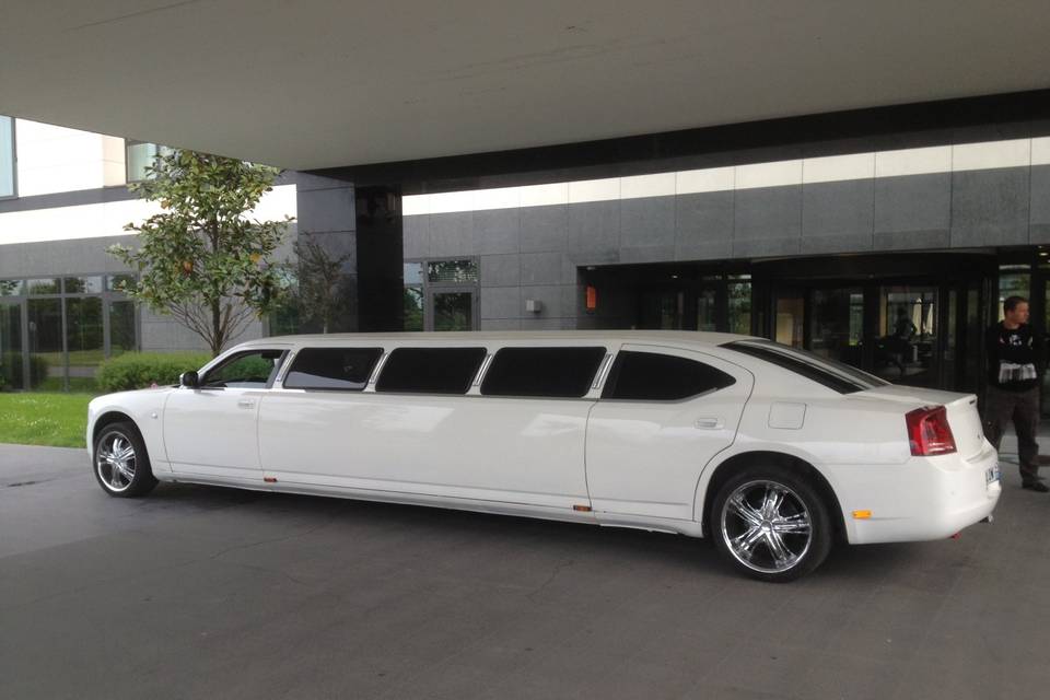 Limousine