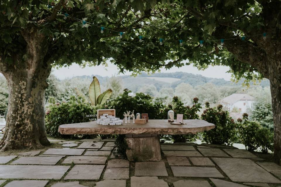 La terrasse sous les platanes