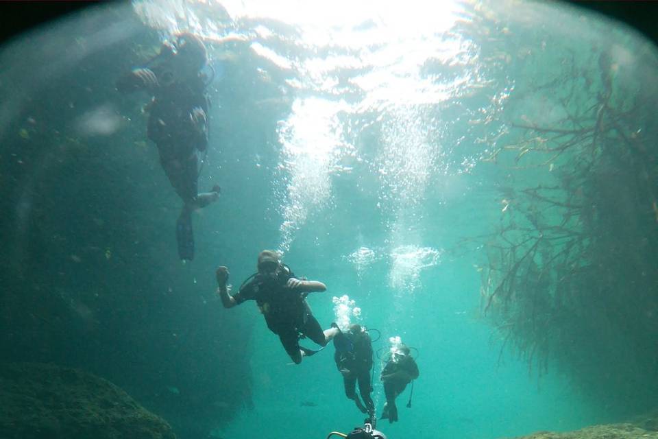 Plongée sous-marine Brésil