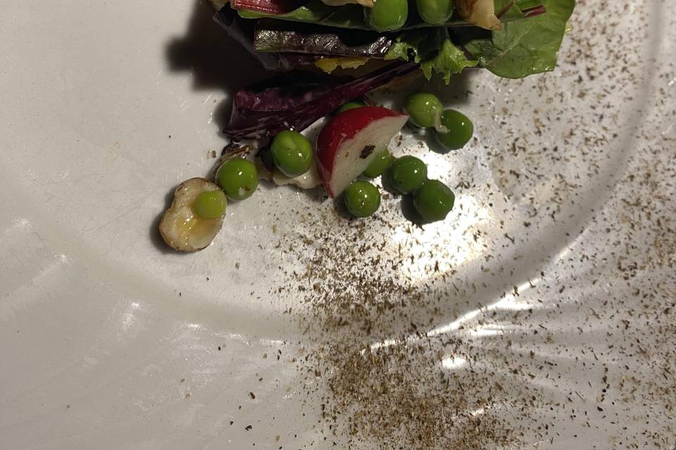 Foie gras