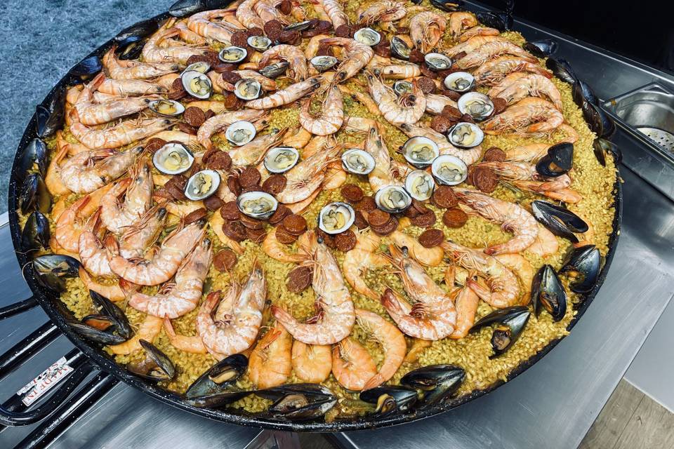 Coquillages