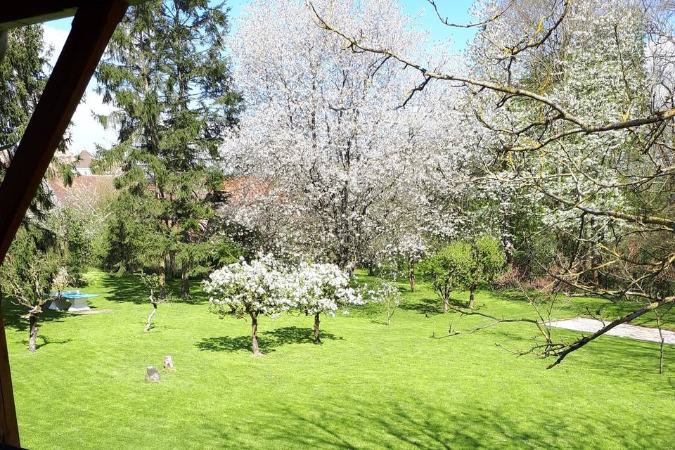 Le parc au printemps