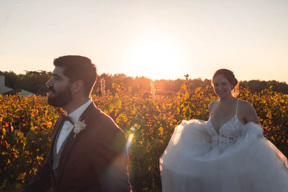 Vignes