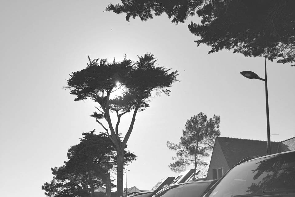ALLANO VTC