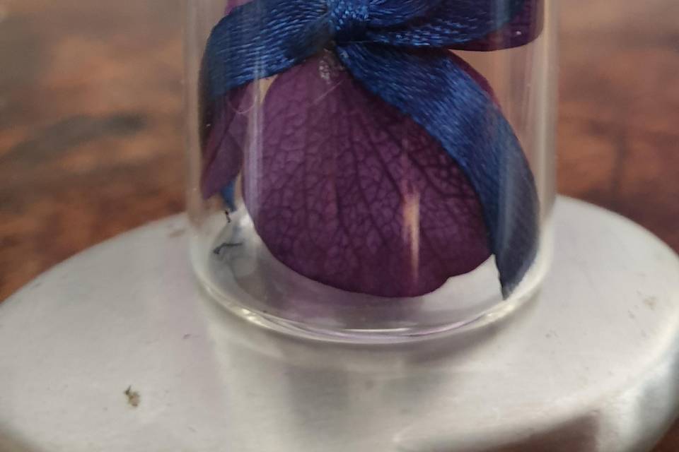 Fiole nœud hortensia