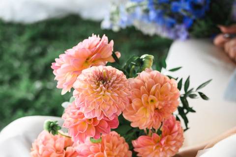 Bouquet