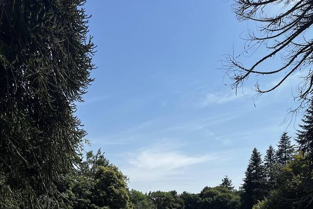 Espace jardin