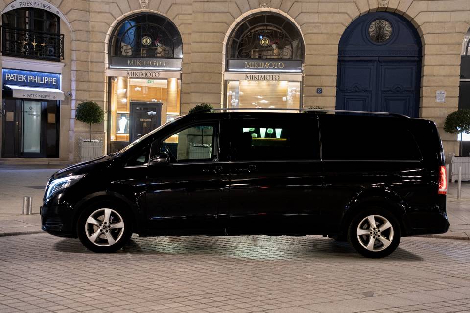 Mercedes Viano Profile
