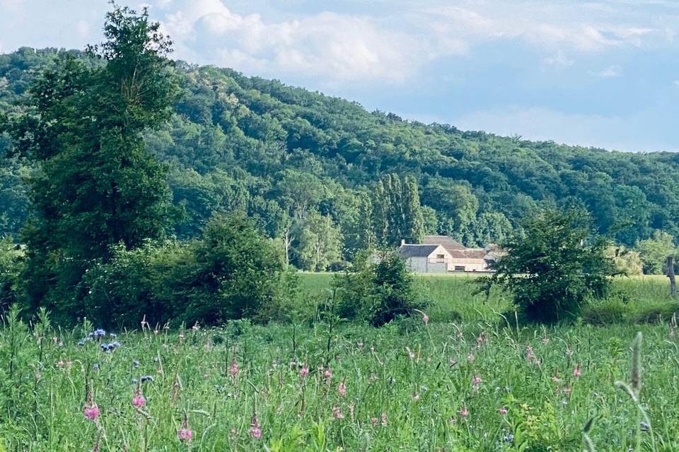 Vue de la ferme - Printemps